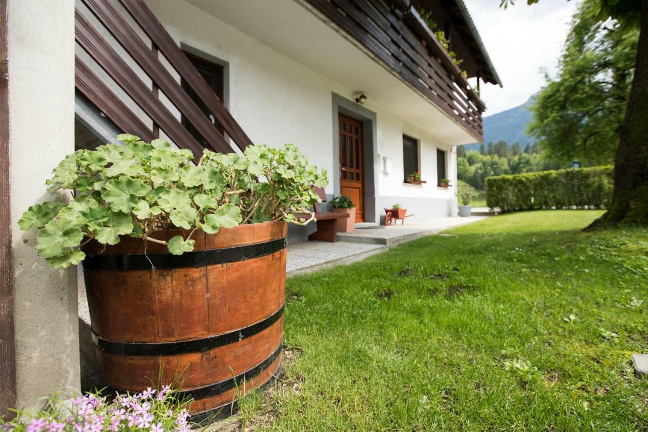 Apartma Pr Gatej Bohinj Dış mekan fotoğraf