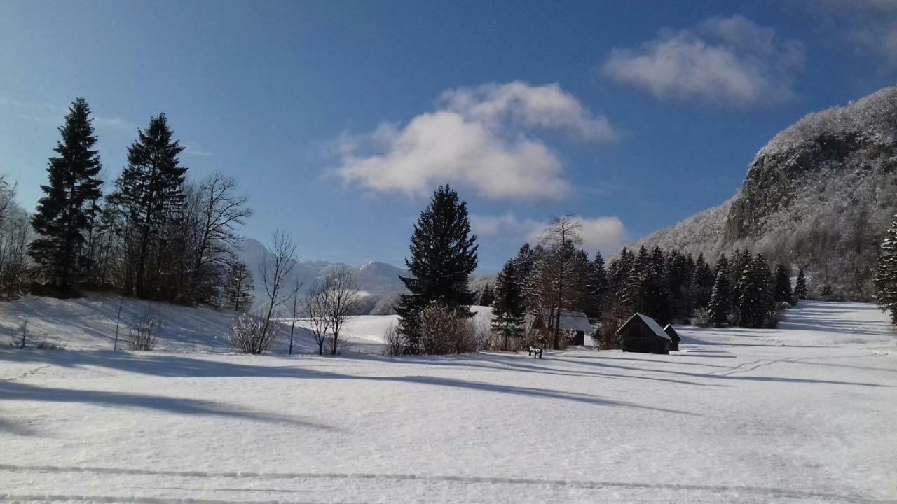Apartma Pr Gatej Bohinj Dış mekan fotoğraf