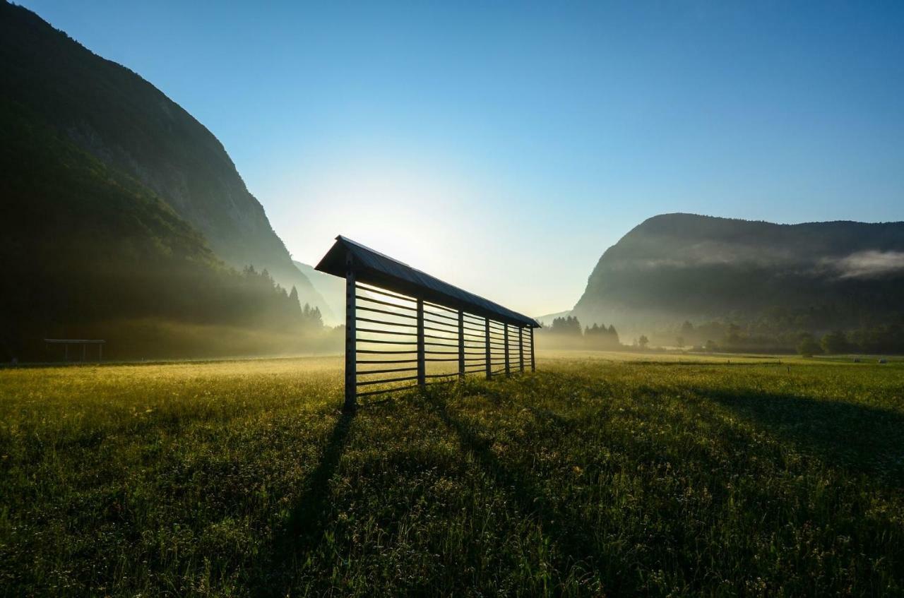 Apartma Pr Gatej Bohinj Dış mekan fotoğraf