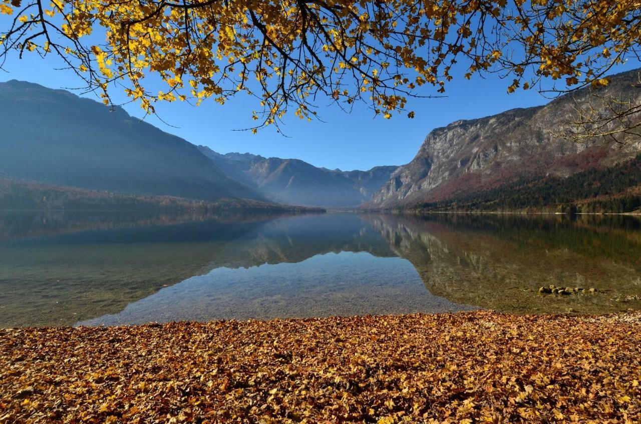 Apartma Pr Gatej Bohinj Dış mekan fotoğraf