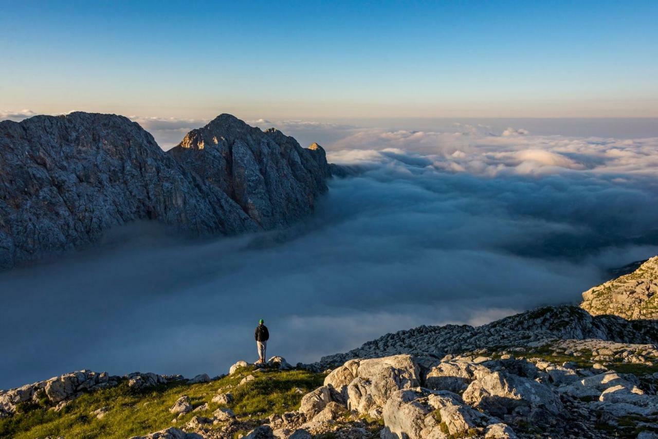 Apartma Pr Gatej Bohinj Dış mekan fotoğraf