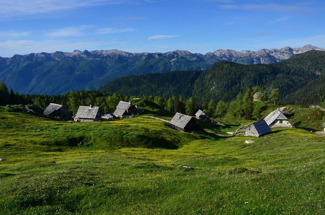 Apartma Pr Gatej Bohinj Dış mekan fotoğraf