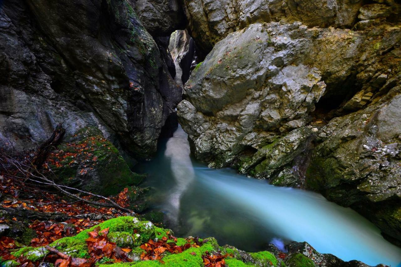 Apartma Pr Gatej Bohinj Dış mekan fotoğraf